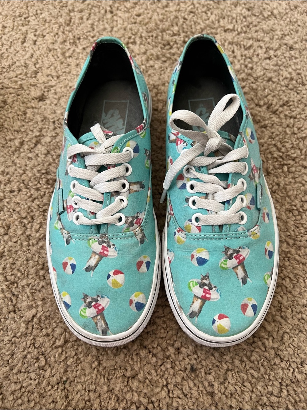 Vans Teal Beach Ball & Cat Float Print Lace-Up Sneakers